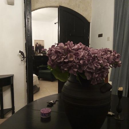 Villa Victoria Gradac  Buitenkant foto
