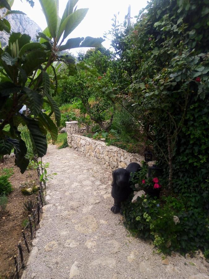 Villa Victoria Gradac  Buitenkant foto
