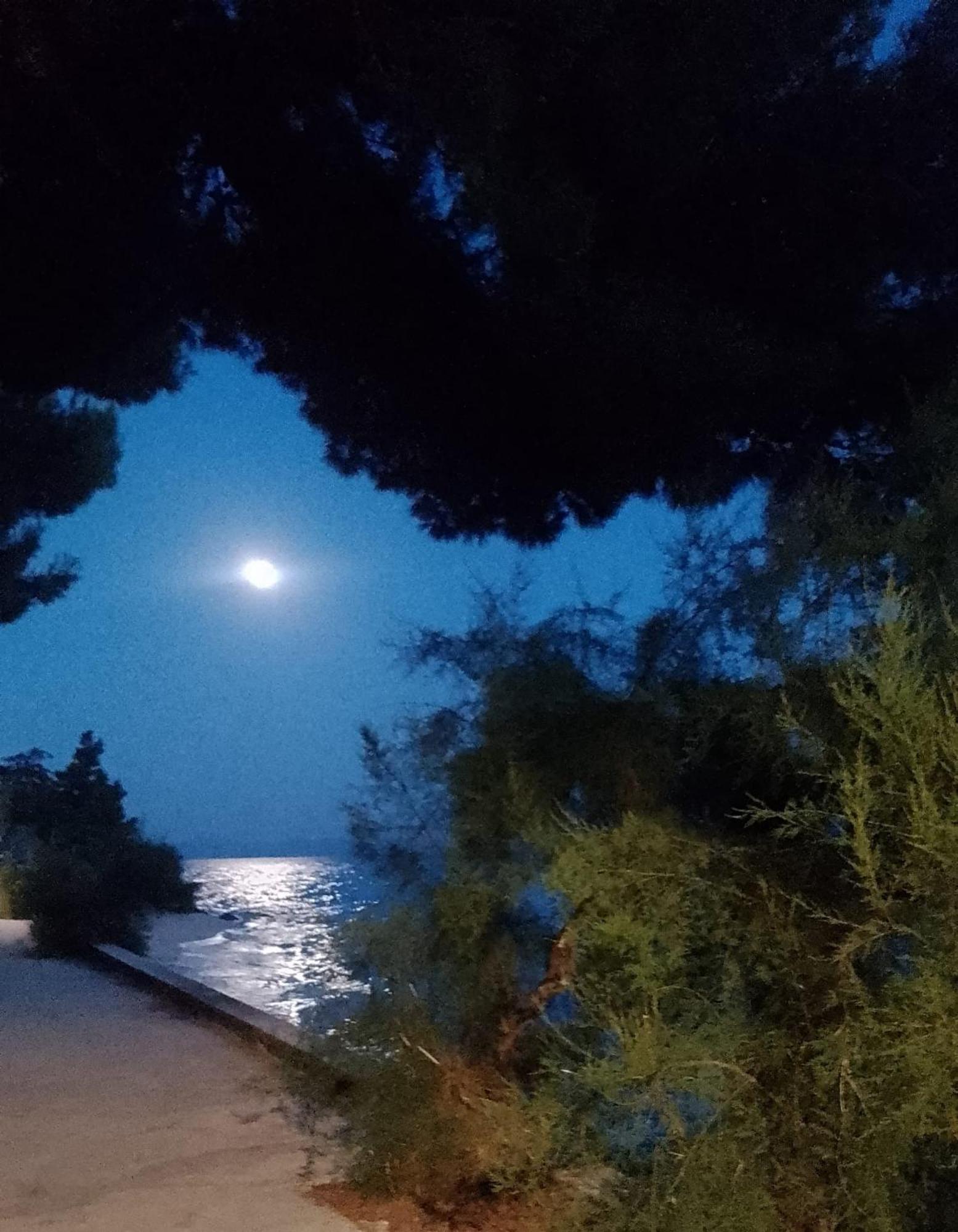 Villa Victoria Gradac  Buitenkant foto