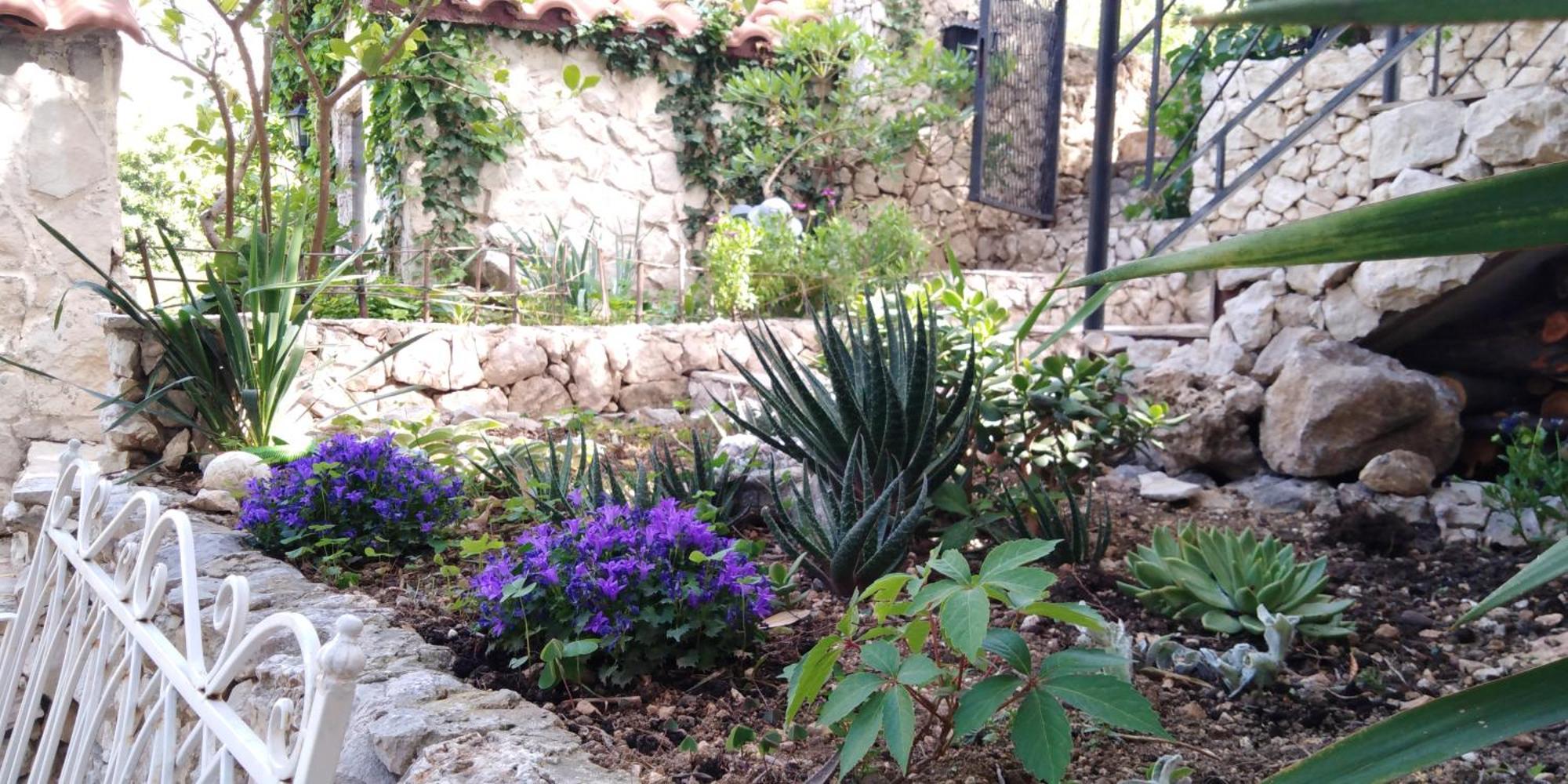 Villa Victoria Gradac  Buitenkant foto